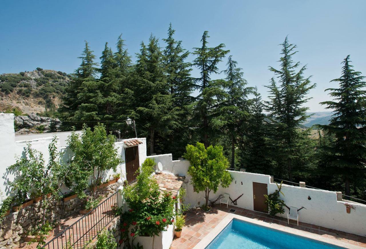 La Mejorana Hotel Грасалема Екстериор снимка
